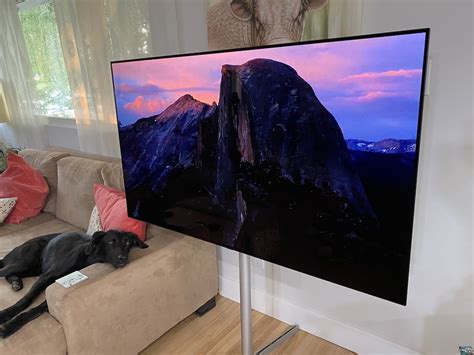 review lg 4k oled c1 tv with gallery stand and art mode