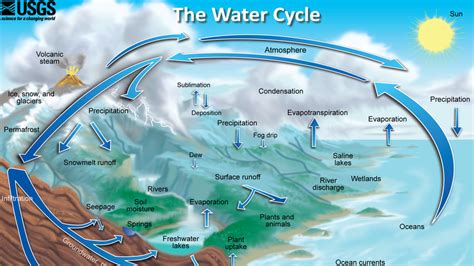 Newsela Explaining The Water Cycle