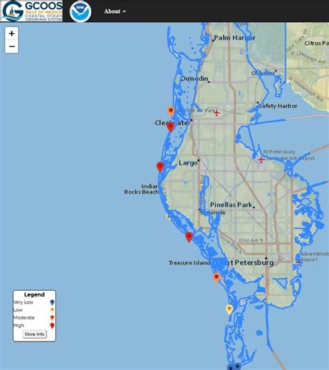 Pinellas County Begins Removing Sea Life Killed By Red Tide Wgcu Pbs