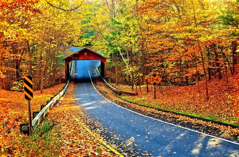 Fall Foliage Wallpapers For Desktop Wallpaper Cave