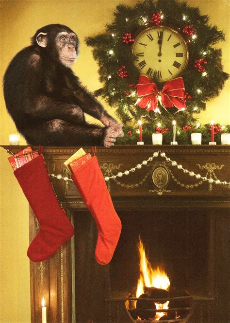 Monkey Muck Have Yourself A Monkey Little Christmas