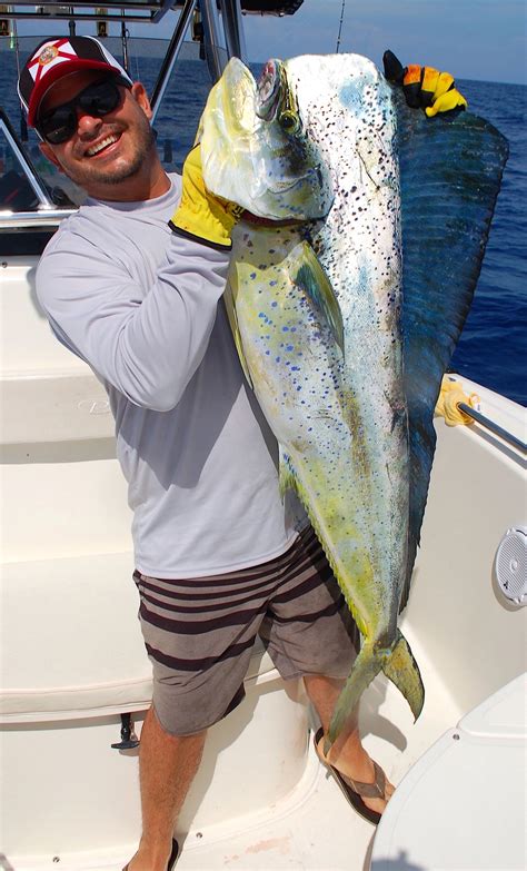 Big Mahi Showed This Summer