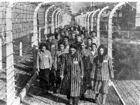 Quasi un'inchiesta su come persone normali arrivino a trasformarsi in tra questi due imprescindibili libri ce n'è un terzo, la tregua, uscito nel 1963, che è la storia del suo ritorno da auschwitz attraverso un'europa ridotta in. «Se questo è un uomo», i settant'anni di un capolavoro e ...