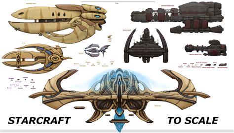 Image Large Ships Scalepng Starcraft Scattered Factions Wiki