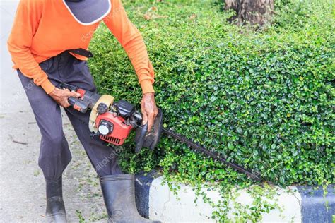 A Man Trimming Hedge At The Street — Stock Photo