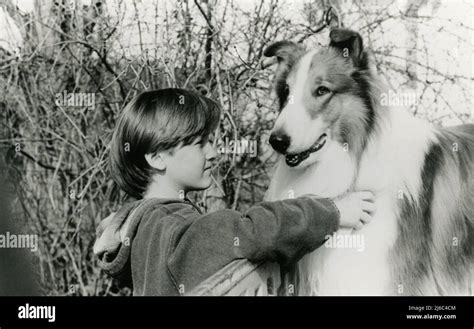 The Collie Dog Lassie And Actor Tom Guiry In The Movie Lassie By Daniel