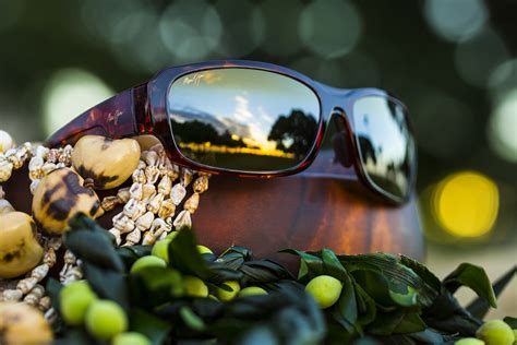 Product Spotlight Monkeypod Live Aloha Blog From Maui Jim