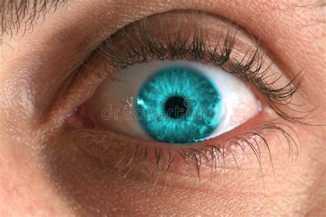 Blue Eye Macro Stock Image Image Of Health Eyebrow 22496479