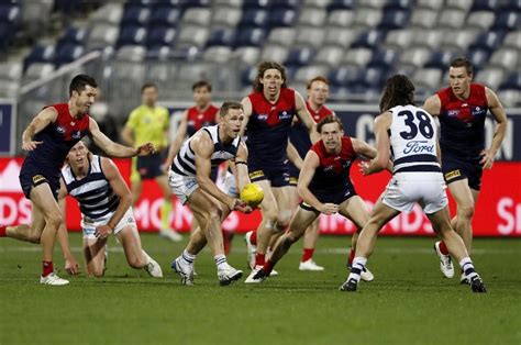 Melbourne Demons Vs Geelong Cats Tips Preview And Odds