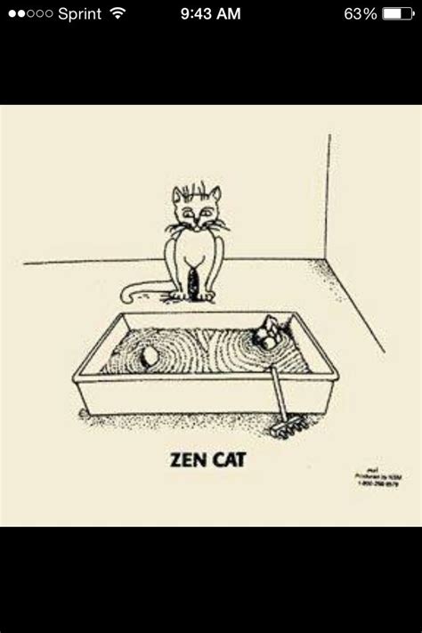 Zen Kitty 😊 Crazy Cats Feline Cats