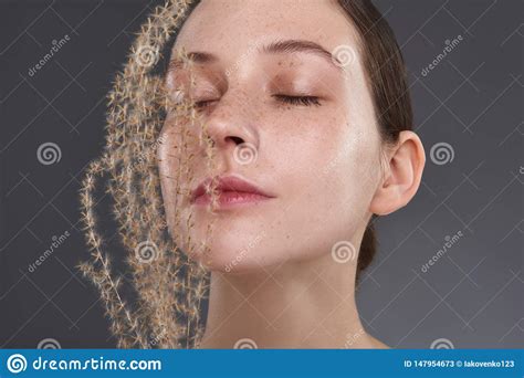 Beautiful Serene Girl With Freckles Holding Fluffy Sprig Near Her Face