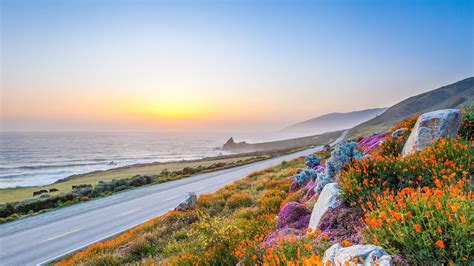 Pacific Coast Highway In Spring Wild Flowers In Big Sur California Usa
