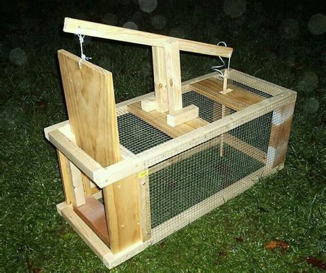 Pin By Survival Life On How To Make Traps With Images Survival