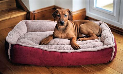 Large Padded Luxury Fleece Dog Bed By Wolfybeds In Winterberry Red 36