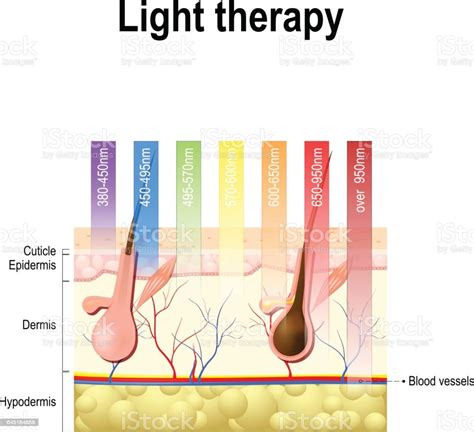 Light Therapy Phototherapy Or Laser Therapy Depth Of Penetration By