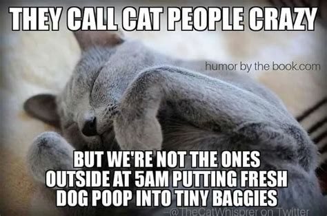 Cat People Vs Dog People Blogs And Forums