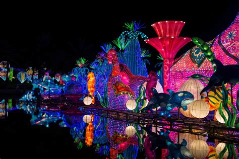 Dubai Garden Glow Timings 2024 Best Time To Visit