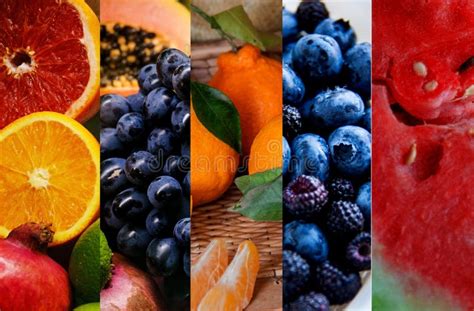 Collage Of Various Type Fresh Color Fruits Healthy Food Concept Stock