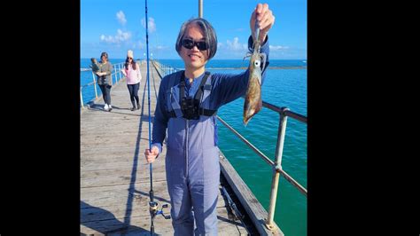 Adelaide Squid Fishing Port Noarlunga Squidding Update