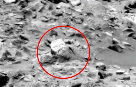 Alien Faces In Nasas Mars Rover Photos Subject Of Latest Discovery