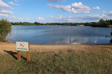 Little Testwood Lake New Forest Area Information Map Walks And More