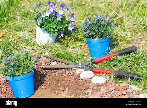 Springtime home gardening, trimming and planting flowers. Taking care