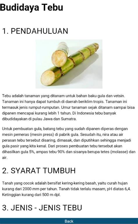 Jenis Jenis Tebu Di Indonesia