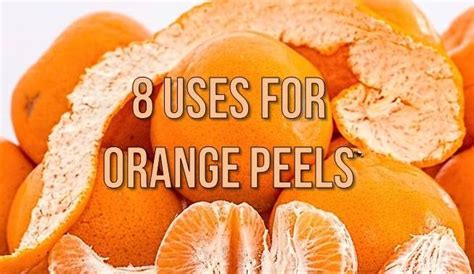 8 Alternative Uses For Orange Peels Tips And Updates Babamail