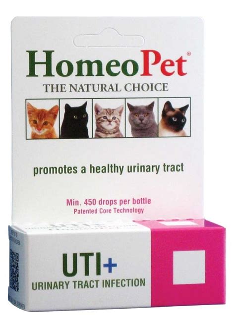Urinary Tract Infection Cat Food