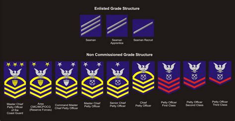 Military Patches And Seals Vectored