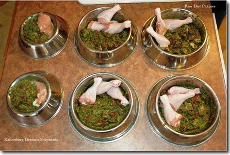 Vegan puppy chow aka muddy buddies is an easy dessert! Interesting Facts About Natural Life Dog Food | Raw dog ...