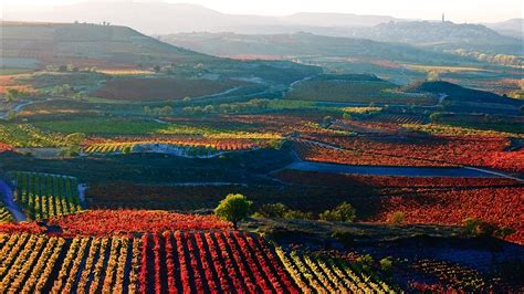 La Rioja Wine Region Lonely Planet La Rioja Rioja Beautiful Places