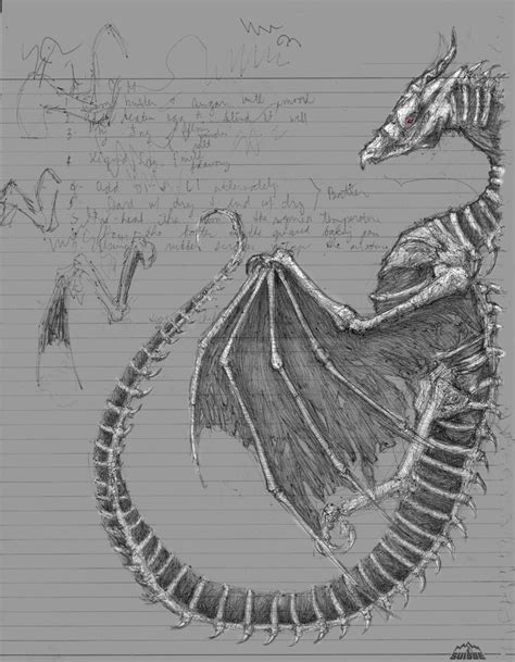 Dragon Sketch Dragon Bones Dragon