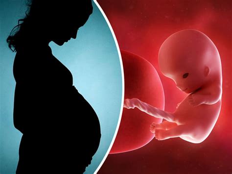 What Are The Signs That The Baby Has Stopped Growing Inside The Womb