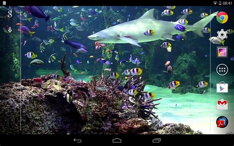 To make sure you only get the best, check out this top. Aquarium live wallpaper Free Android Live Wallpaper ...