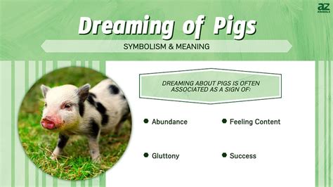 Dreaming Of Pigs Discover The Spiritual Meaning And Interpretation A