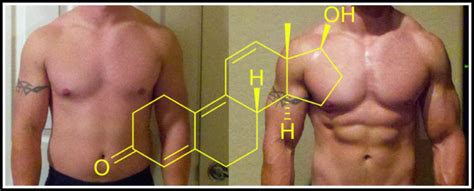 The History Of Trenbolone Trenbolone Acetate Trenbolone Wumei Steroid