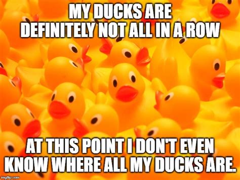 Getting Ducks In A Row Meme