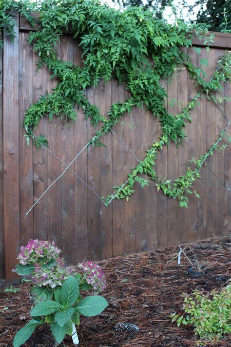 Add Wonderland Whimsy To Your Outdoor Space With This Trellis