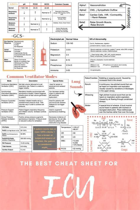 Icu Cheat Sheet Printed Laminated Nursing Cheat Cardiac Nursing