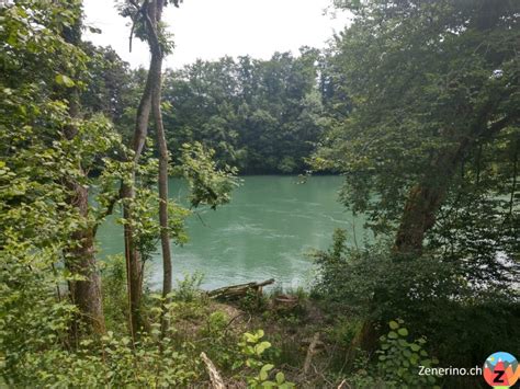 River in switzerland and tributary of the rhine. Aare bei Bannwil - Zenerino.ch
