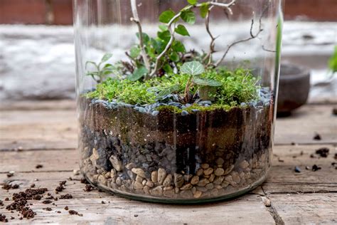 Gardening And Plants Terrariums Floral And Garden Crafts Imghospital