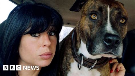 Pregnant Woman Killed By Dogs In France During Hunt In Forest Bbc News