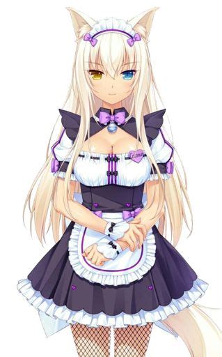 nekopara wiki anime amino