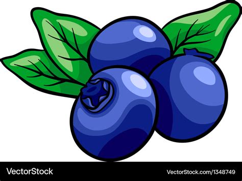 Blueberry Fruits Cartoon Royalty Free Vector Image
