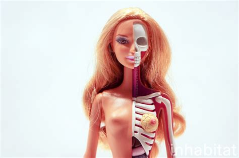 Anatomically Correct Barbie Cheaper Than Retail Price Buy Clothing Accessories And Lifestyle