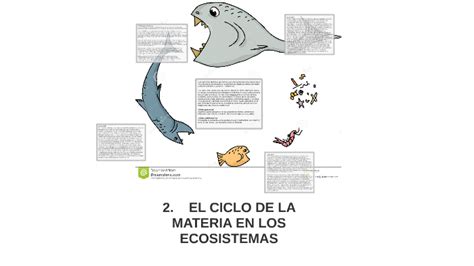 2 El Ciclo De La Materia En Los Ecosistemas By