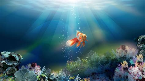 Fish Wallpapers Wallpaper Cave