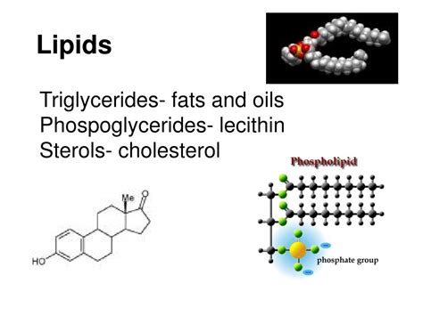 Ppt Classification Of Lipids Powerpoint Presentation Free To View My