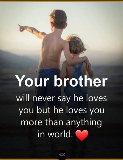 brother sister quotes funny siblings funny quotes brother and sister relationship sibling